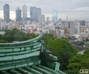 Rompicapo di Nagoya, Giappone