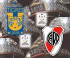 Finale Coppa Libertadores 2015