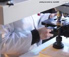 Rompicapo di Scienziato con un microscopio in laborat