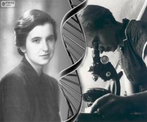 Rompicapo di Rosalind Franklin (1920-1958), pioniere nella ricerca del DNA