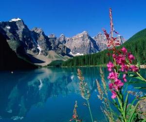 Rompicapo di Un lago con vegetazione e l'ufficio di alta montagna