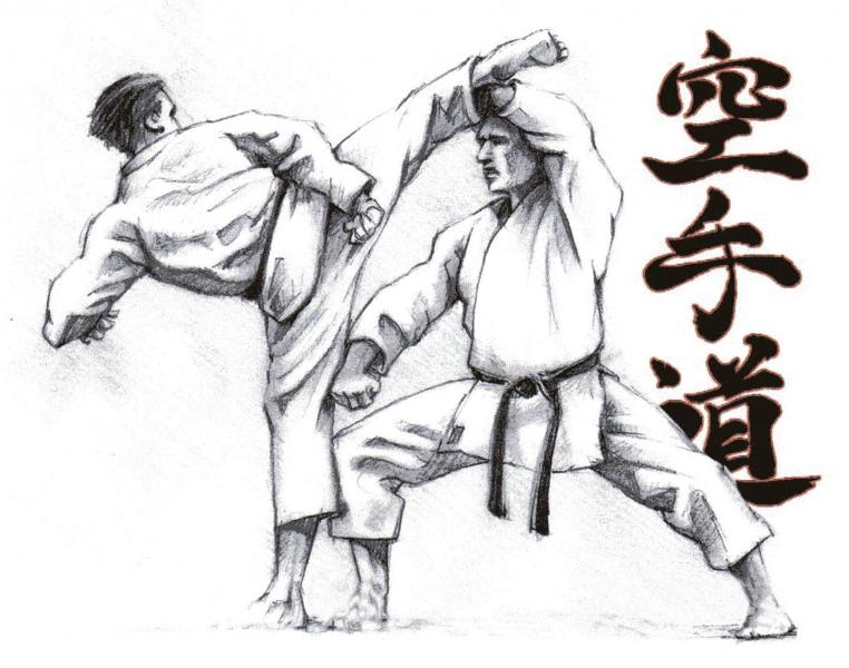 karate puzzle