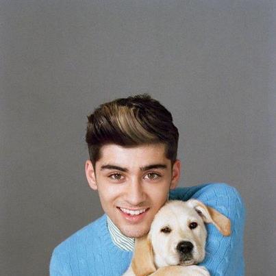 zayn malik dei one direction con un cane puzzle